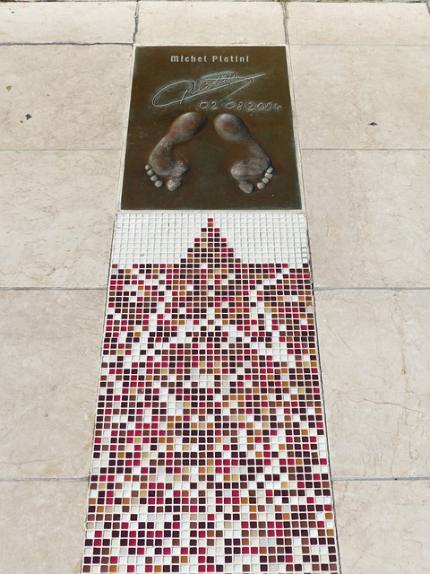 尼克斯在与