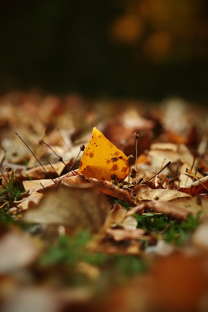 每日體育報：英超歷史上效力巴塞羅那三位傳奇射手！.