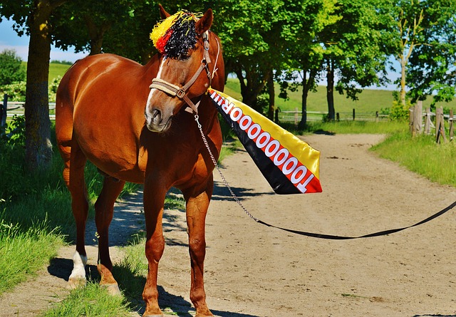 培养出刘翔、钟天使的这所学校,尝试打通体育人才“上下游”.